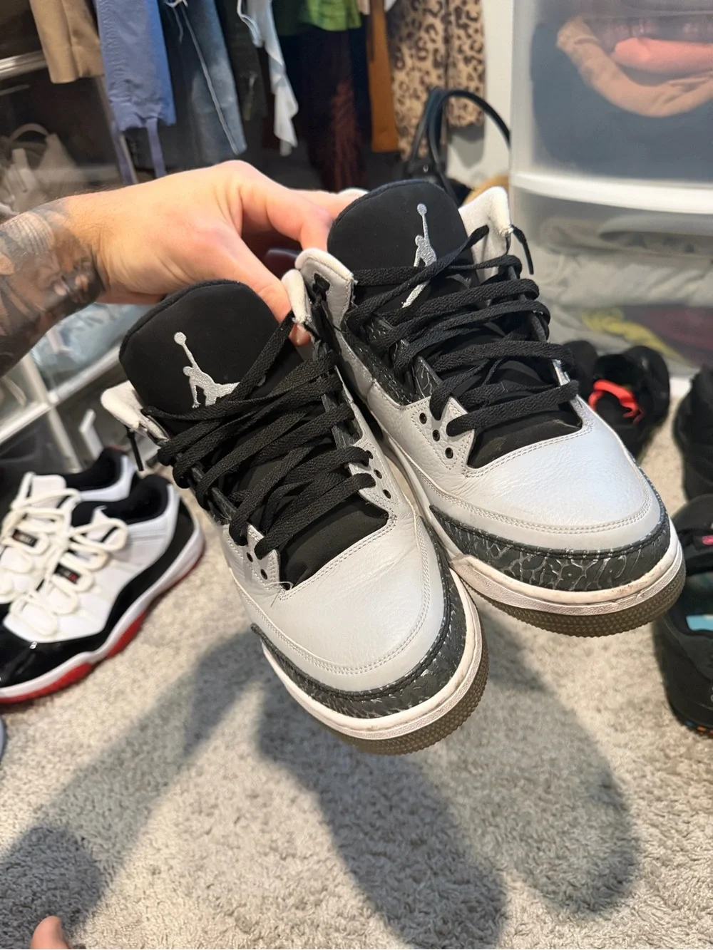 Jordan retro wolf